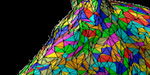 triangle-strips