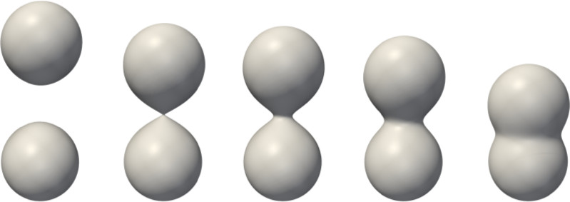 Visual Data Processing in the Tensor Compressed Domain