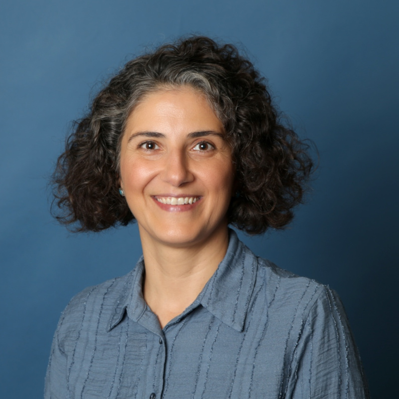 Portrait of Prof. Dr. Tülin Kaman